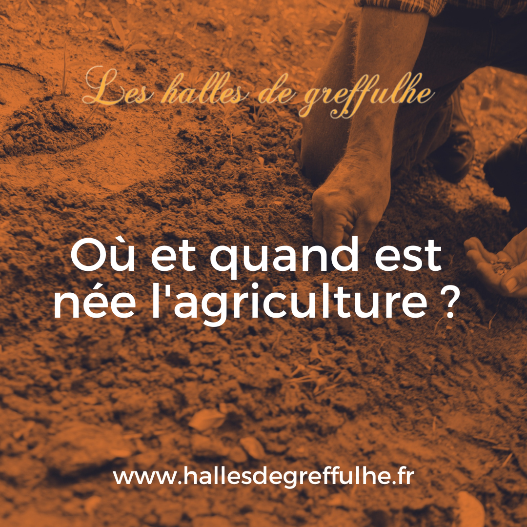 L'histoire de l'agriculture : De la culture itinérante à l'agriculture moderne