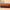 Brochettes de fruits exotiques