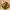 Plateau de fruits exotiques - 6 personnes 27cm x 27cm -